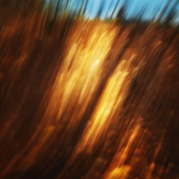 노골적 인 가을의 배경 — 스톡 사진