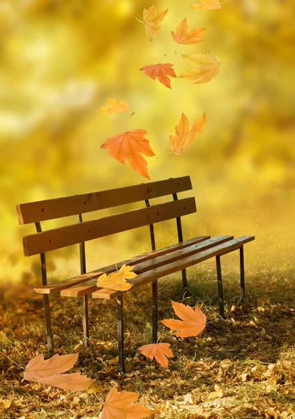 Prázdná dřevěná lavička v městském parku — Stock fotografie