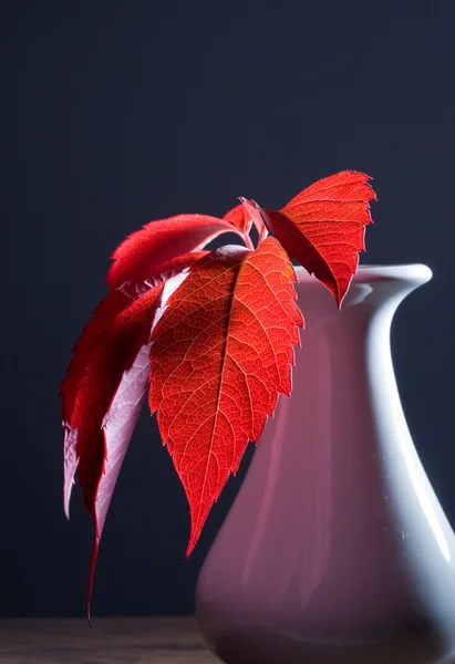 Czerwony liść w białej butelce — Zdjęcie stockowe