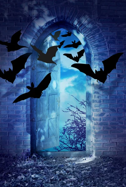 Morcegos ao luar — Fotografia de Stock