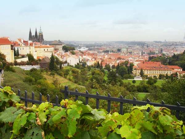 Prager Landschaft — Stockfoto