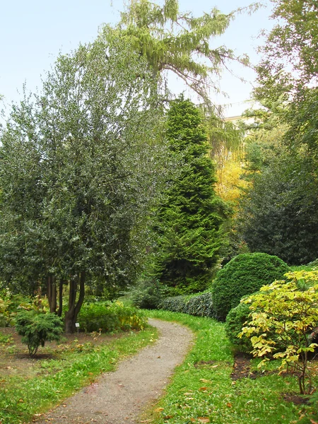 Prague botanic garden — Stock Photo, Image