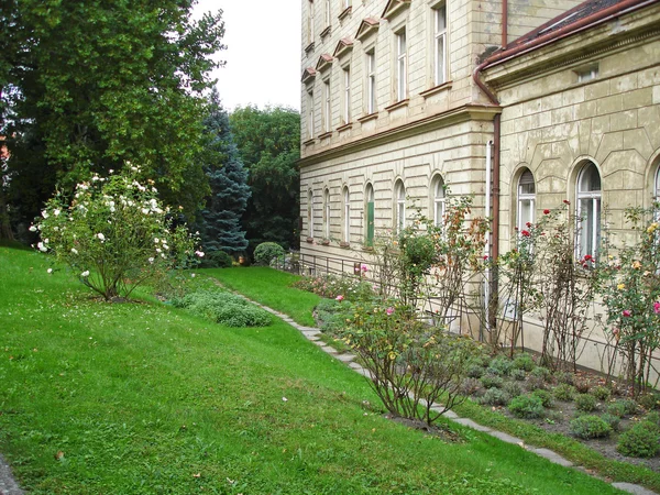 Prag botaniska trädgård — Stockfoto