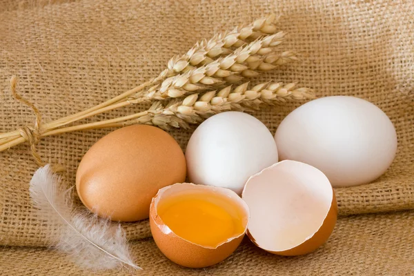 Eggs and wheat ears — Stock Photo, Image