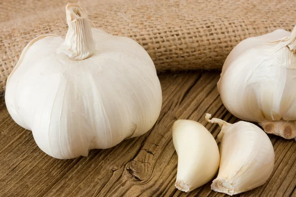 stock image Garlic