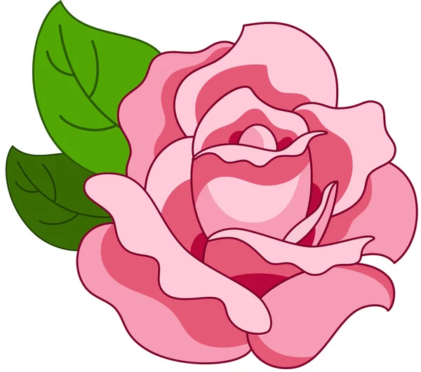 Rosa rosa — Vector de stock