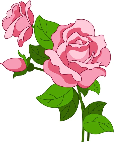 Rosa rosa — Vetor de Stock
