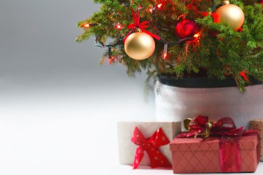hediyeleri Noel ağacı altında