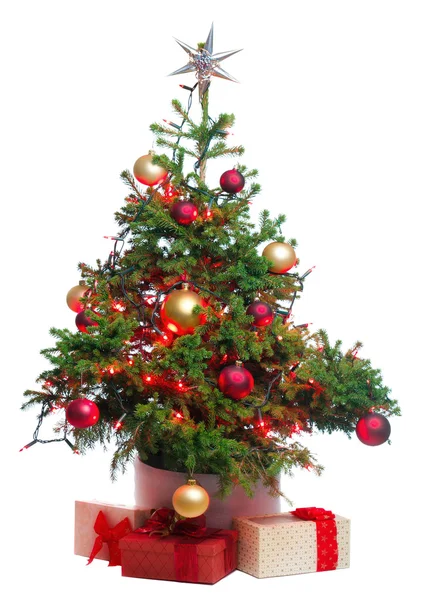 Рождественская ёлка Лицензионные Стоковые Фото