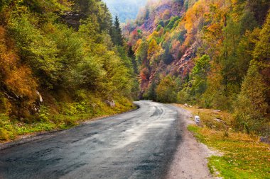 dağ yolu içinde kapattığınızda, Romanya