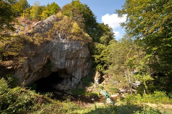 루마니아에 있는 bolii 동굴 — 스톡 사진
