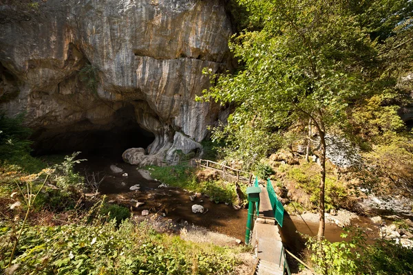 Bolii jeskyně v Rumunsku — Stock fotografie