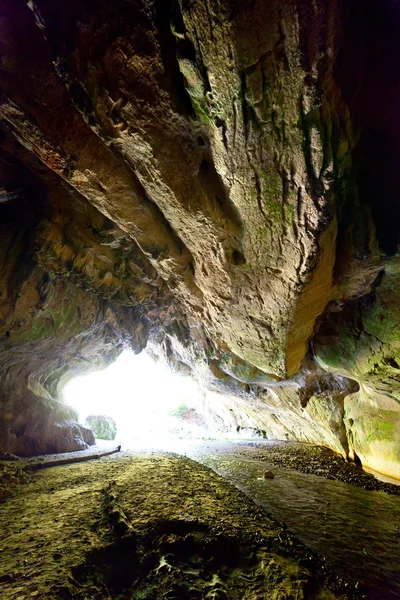 stock image The Bolii Cave in Romania