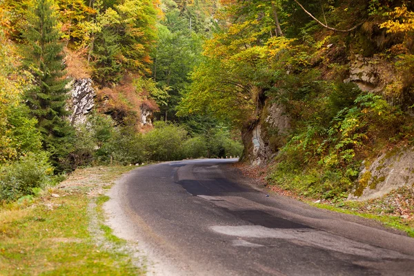 Bergweg in parang, Roemenië — Stockfoto