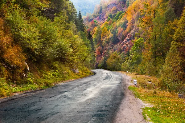 Mountain road in Parang, Romania — Stock Photo, Image