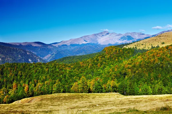 Краєвид з Паранго гори в Румунії — стокове фото