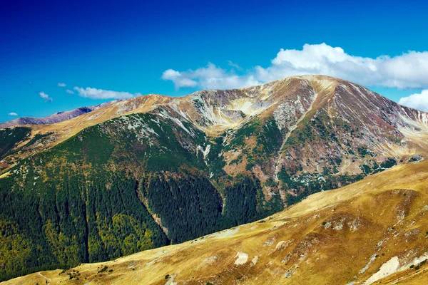 Landschap met mohoru piek van parang bergen in Roemenië — Stockfoto