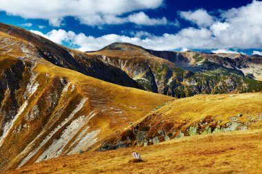 Romanya parang Dağları ile peyzaj