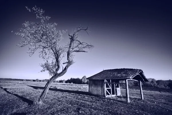 Monochrome toned image of old wooden shelter — Stock Photo, Image