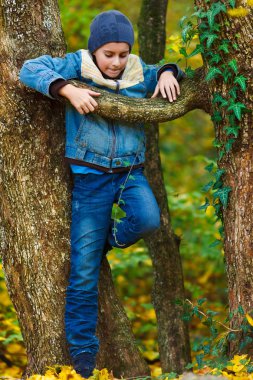 Kid climbing in a tree clipart