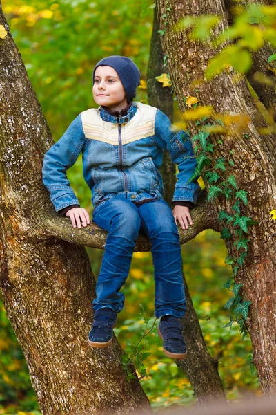 Kid climbing in a tree — Stock Photo, Image