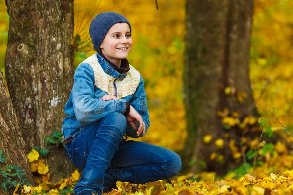 A fiú a lehullott levelek park — Stock Fotó