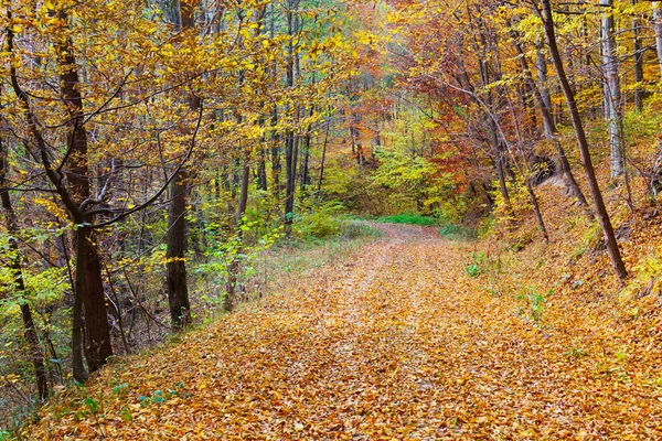 Farbenfrohe Herbstlandschaft — Stockfoto