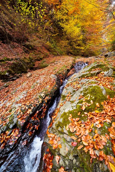 Autumnal landscape — Stock Photo, Image
