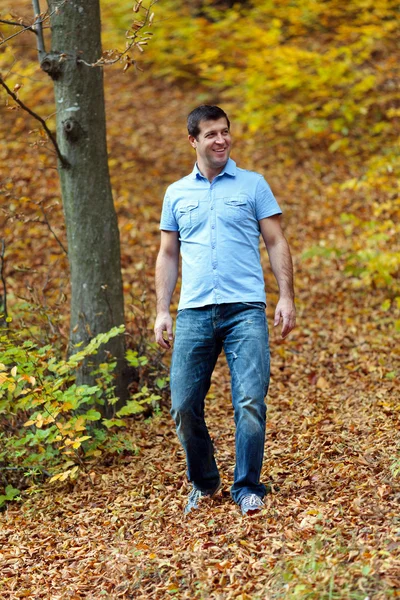 숲으로 걷는 남자 — 스톡 사진