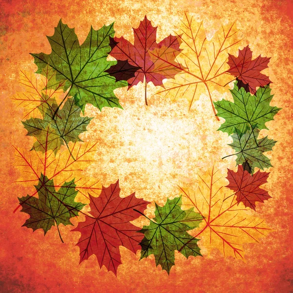 秋天的叶子圆圈背景 — 图库照片