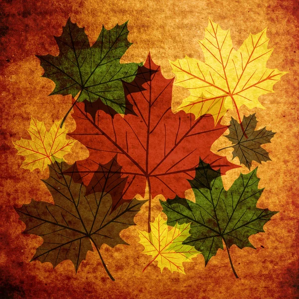 秋天的树叶复古抽象背景 — 图库照片