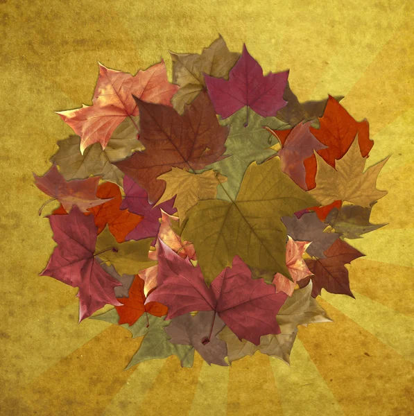 Jesienią liście koło pasiasty tło — Zdjęcie stockowe