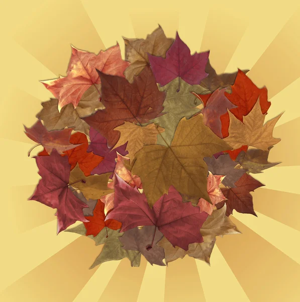 Otoño hojas círculo con fondo rayado —  Fotos de Stock
