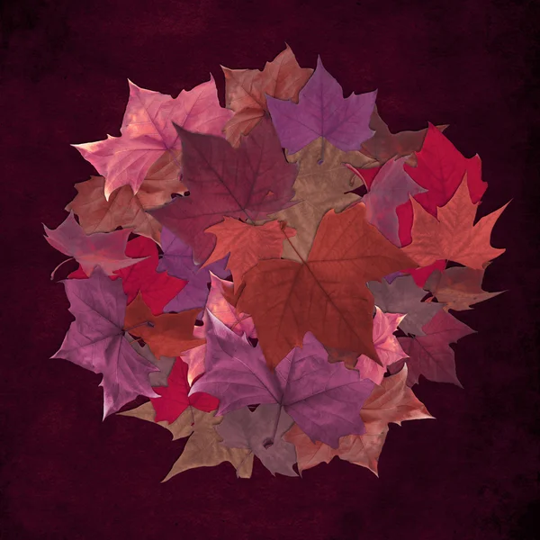 秋葉サークル グランジ背景 — ストック写真
