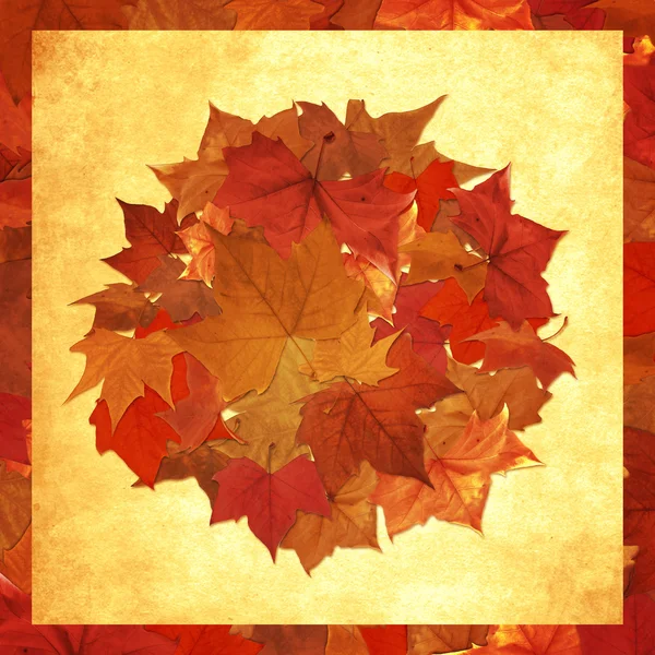 Outono folhas círculo fundo — Fotografia de Stock