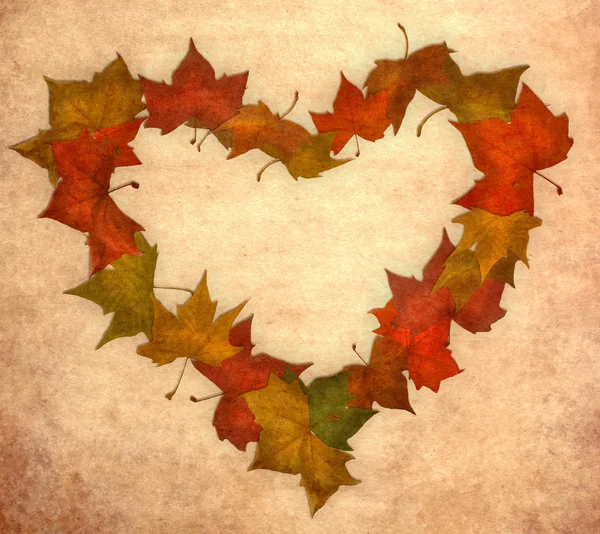 Autunno foglie cuore vintage — Foto Stock