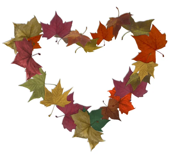 Herfstbladeren geïsoleerde lege hart — Stockfoto