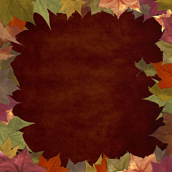 秋天的叶子 grunge 框架背景 — 图库照片