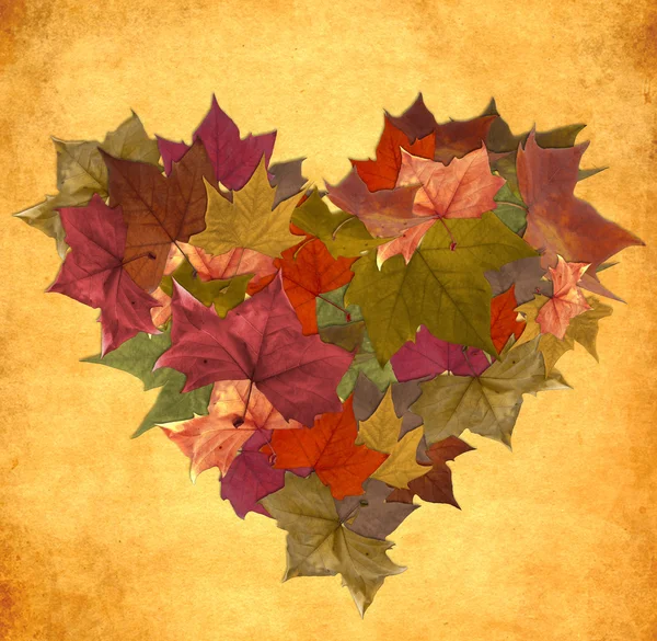Vintage automne feuilles forme de coeur — Photo
