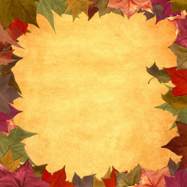 秋天的叶子 grunge 框架背景 — 图库照片