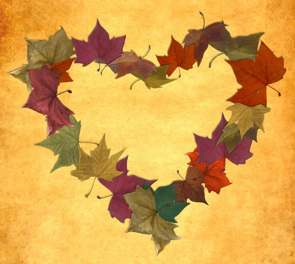 复古秋天的叶子在空虚的心形状 — 图库照片