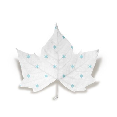 Fashion Winter leaf isolated over white with clipping path clipart