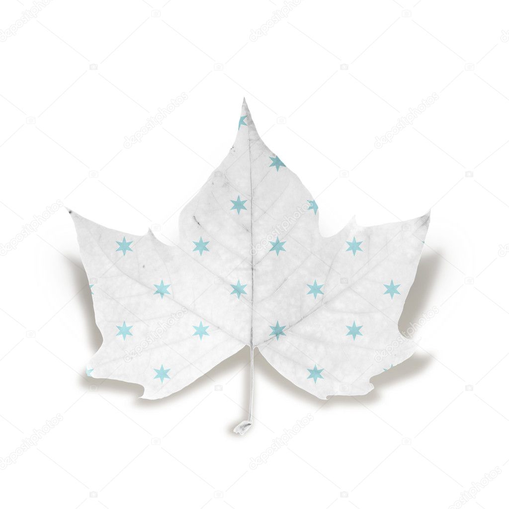 Fashion Winter leaf isolated over white with clipping path