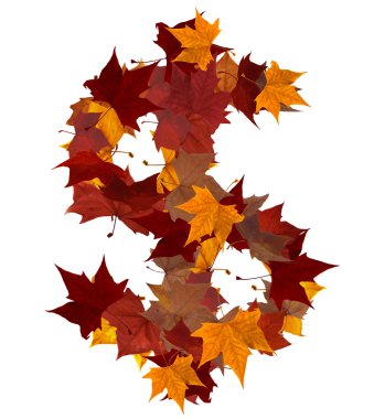 Cash multicolored fall leaf composition isolated clipart