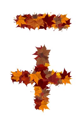 Plus and minus symbol multicolored fall leaf composition isolate clipart