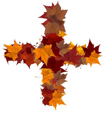 Plus symbol multicolored fall leaf composition isolated clipart