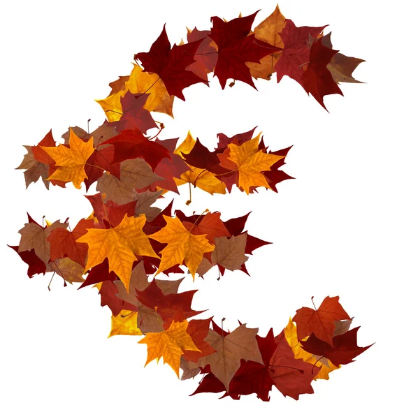 Euro símbolo multicolor hoja de otoño composición aislada —  Fotos de Stock