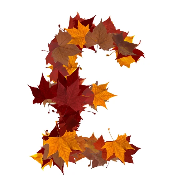 Lira bunte Zusammensetzung der Herbstblätter isoliert — Stockfoto