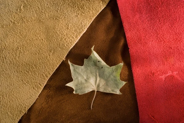Vintage fall cow leather composition. — Stock Photo, Image