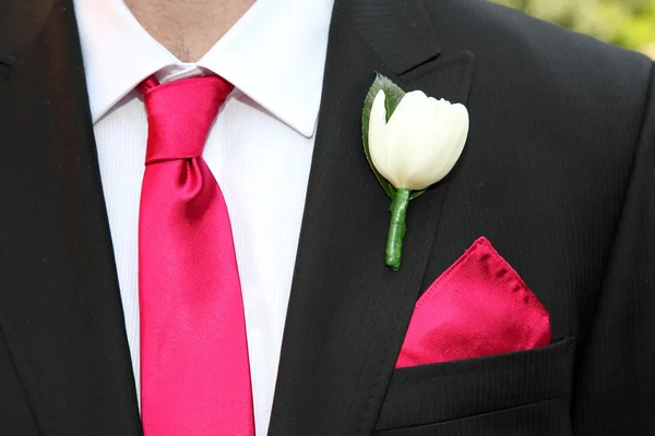 Tie and flower — Stock Photo, Image